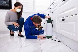 Best Commercial Pest Control  in San Castle, FL